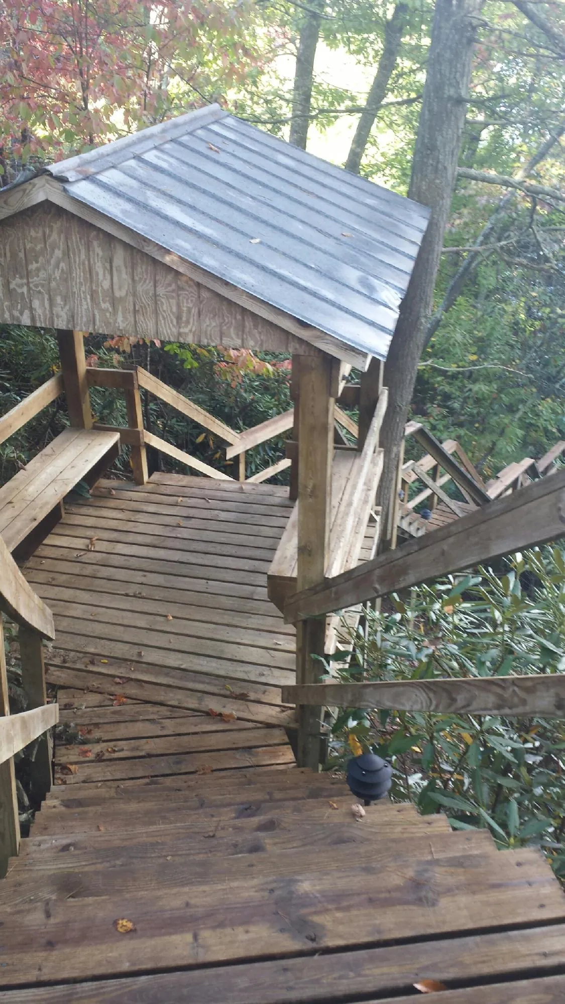 Metal roofed shelter over wooden steps on a wooded walkway — Skylight Repair & Installation work by our crew in Coalton