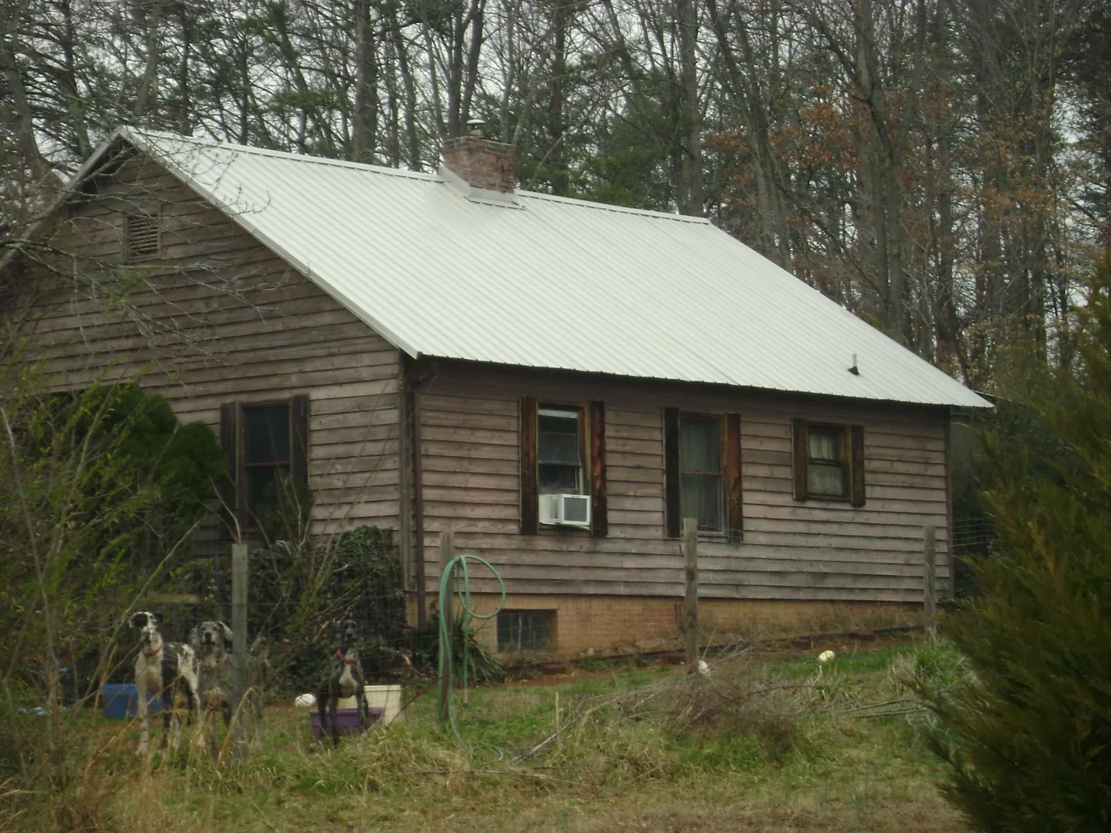 White metal roof on an old wood sided farmhouse, from a Asphalt Shingle Roof Repair job in Coalton